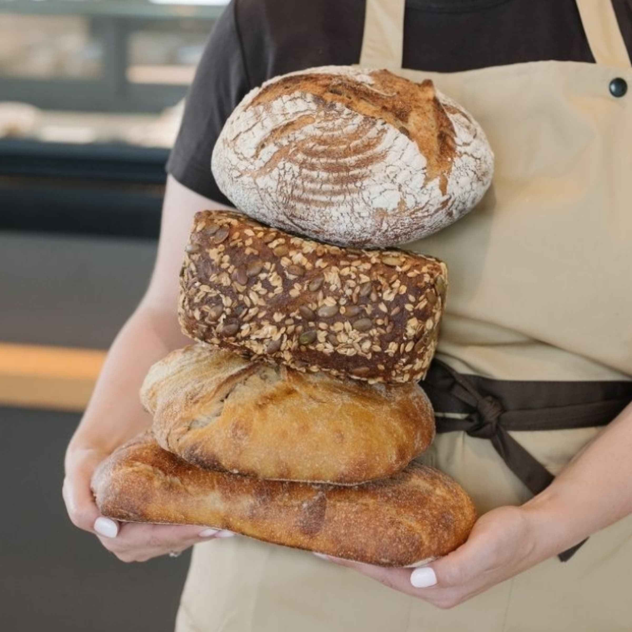 Les petits nouveaux de chez Fischer
