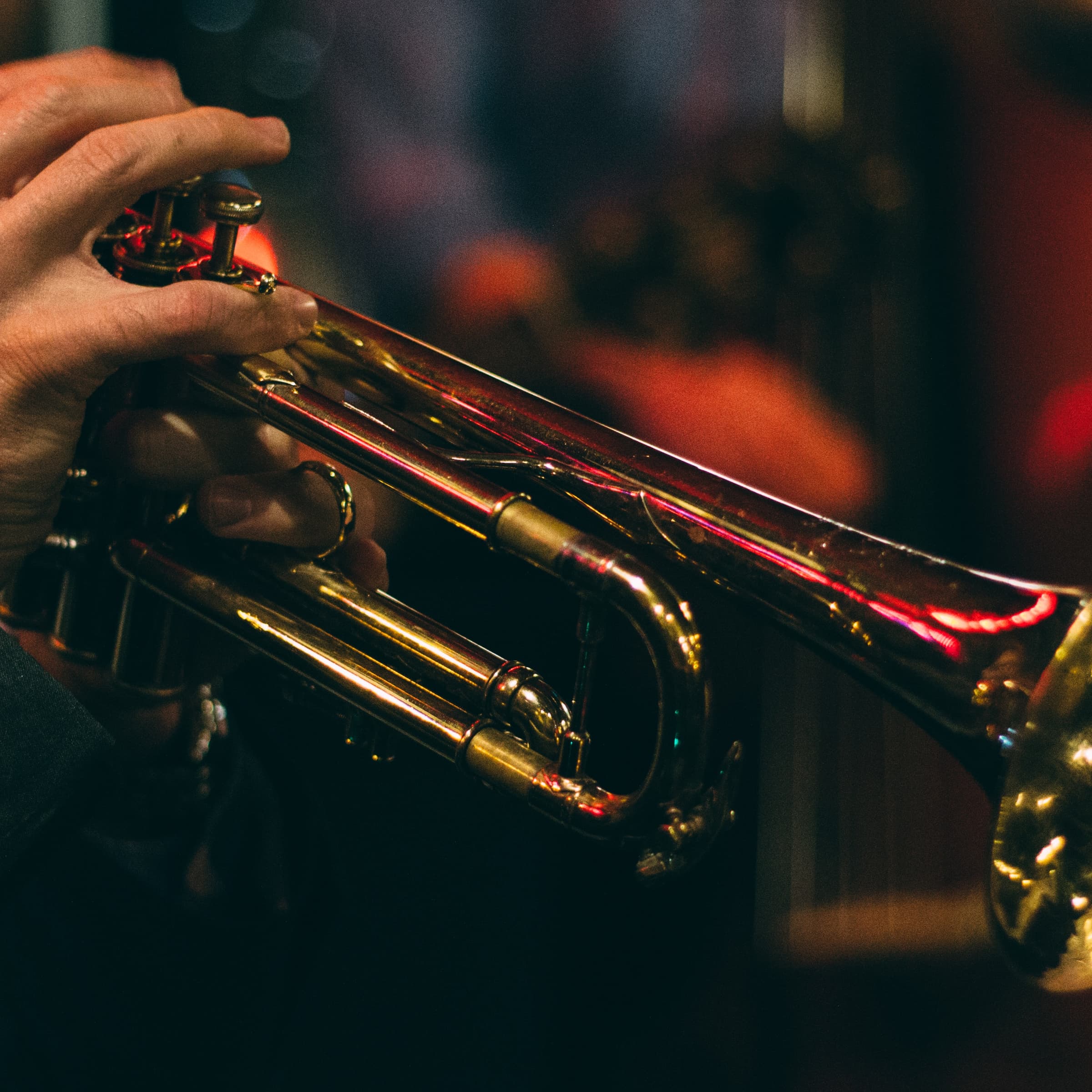 The Gentlemen — Guitare & Contrebasse