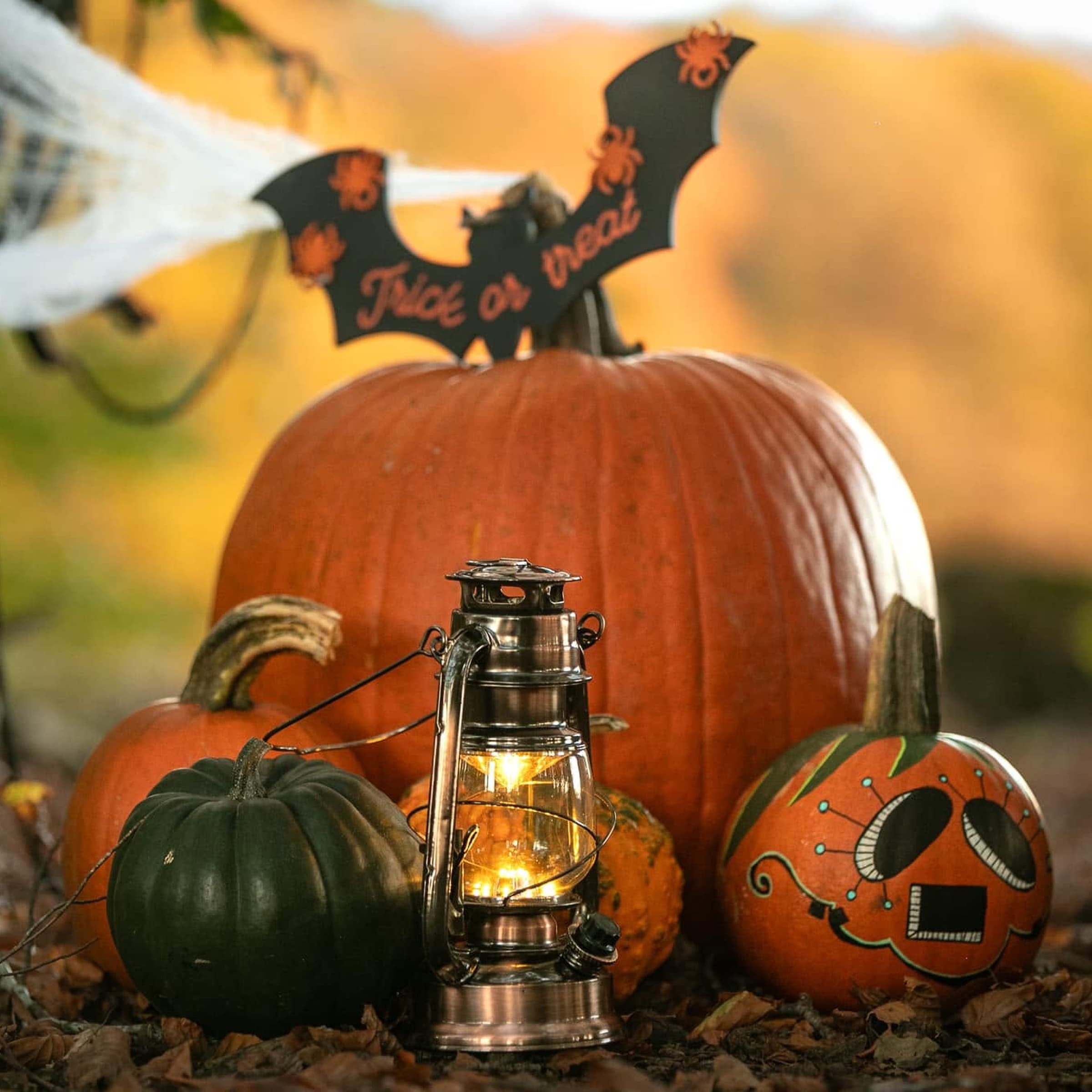 Halloween approche : déniche ta citrouille !