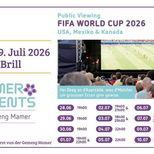 FIFA World Cup 2026 - Retransmission publique au Parc Brill