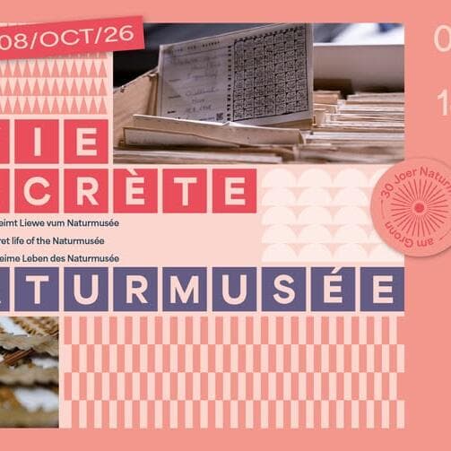 Vernissage – La vie secrète du Naturmusée