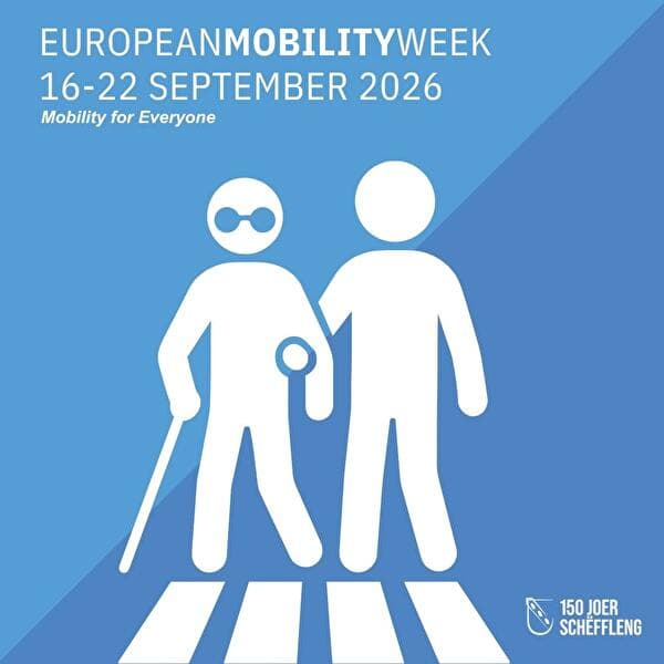 On the move with all your senses: rethinking mobility