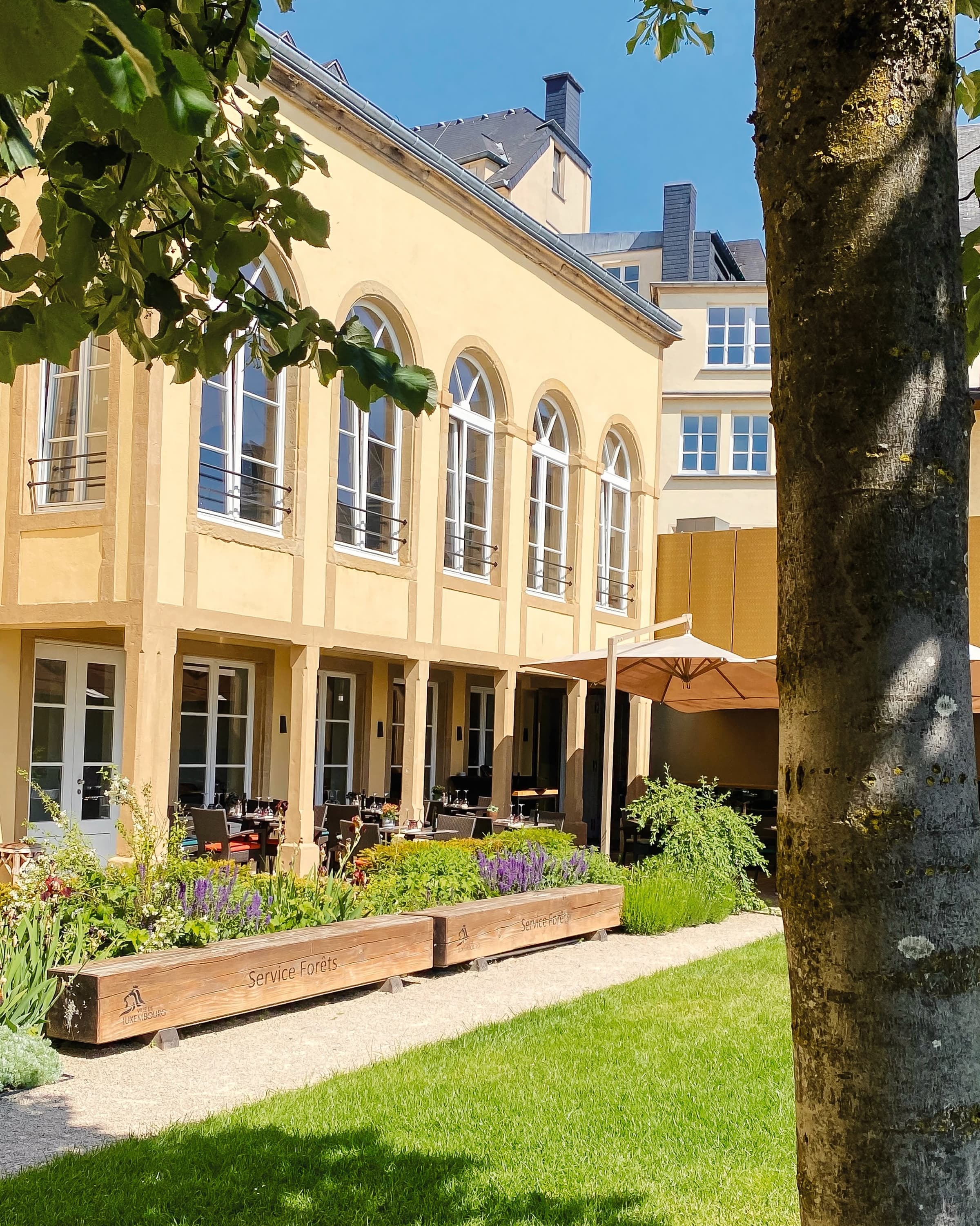 L'Hêtre Beim Musée, la brasserie la plus gourmande de Luxembourg-Ville